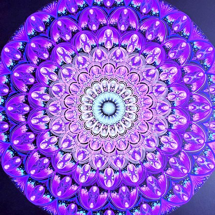 作品5